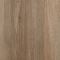 Preview: Texline - Landhausdiele Eiche Beige 023